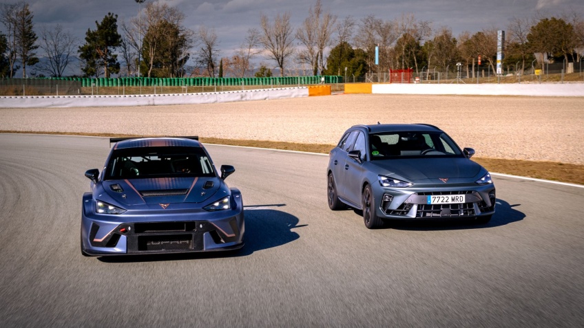 Dois le�es que partilham o mesmo ADN