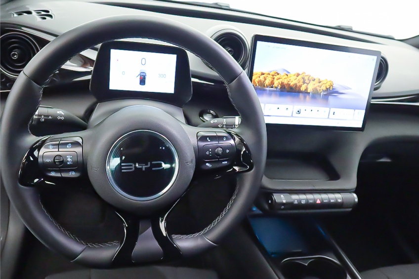 BYD DOLPHIN COMFORT