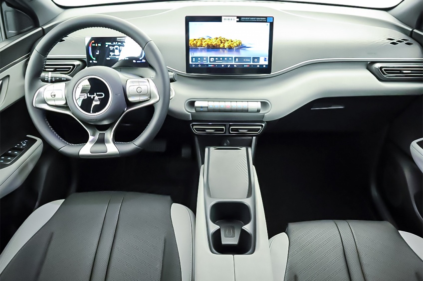 BYD DOLPHIN SURF BOOST
